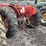 massey-ferguson-135-image-11