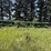 1988-john-deere-9450-image-2