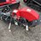 #2045-•-ray-tree-skid-steer-stump-grinder-image-1