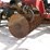 case-ih-true-tandem-330-turbo-image-6