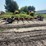 10-bale-round-bale-trailer,-just-went-through-the-shop,-235/80r16-tires-on-8-bolt-rims,-believed-to-image-4