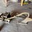 nos-john-deere-lister-planter-image-3