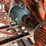 #128-•-8-head-trim-saw-image-10
