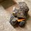 #7144-•-lot-of-burl-wood-image-3