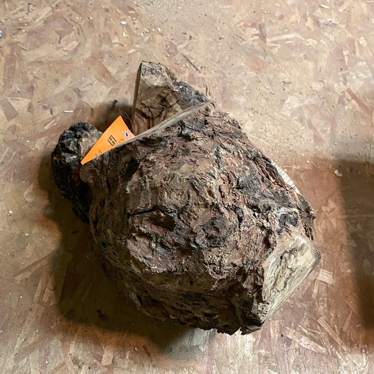#7144 • Lot of Burl Wood
