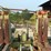 #186-•-hmc-ac50bd-carriage-image-21