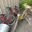 #7015-•-(various)-bicycles-image-8
