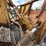 caterpillar-d6r-xl-image-34