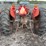 massey-ferguson-135-image-10