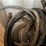 contents-of-totes,-automotive-parts,-hoses,-wires-and-misc.-image-4