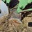john-deere-three-point-two-bottom-plow-image-17