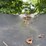 #132-•-concave-belt-conveyor-image-8