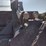 deere-318g-image-19