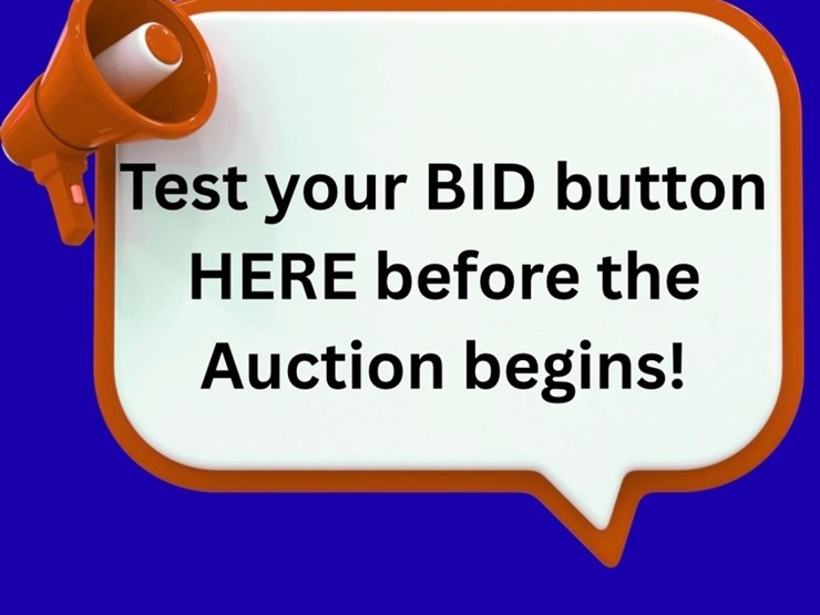 #5-•-test-your-bid-button-here-image-1