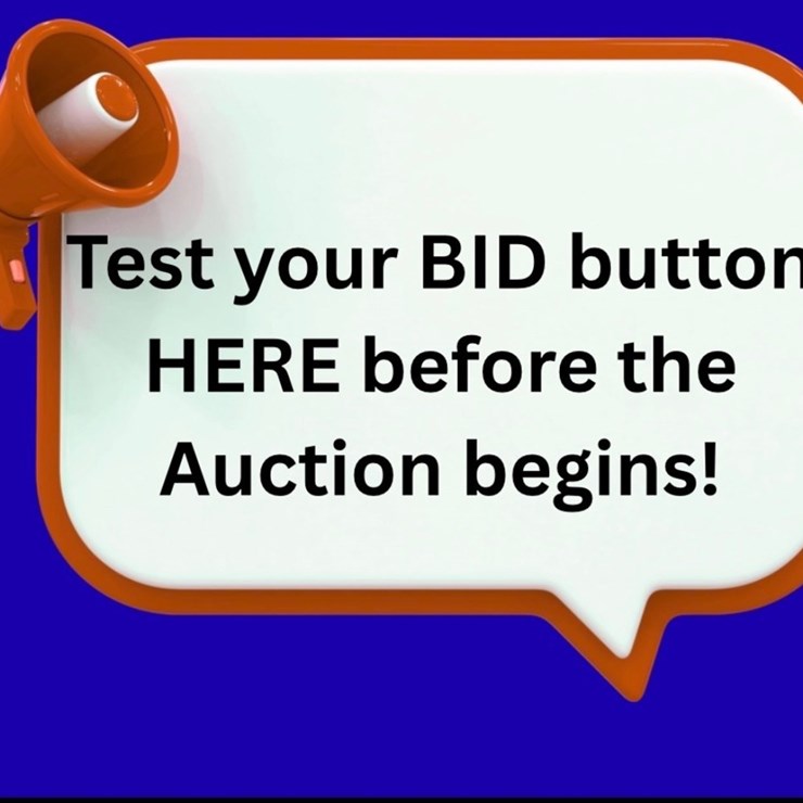 #5 • Test your Bid Button Here