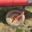 2004-case-ih-8220-image-13