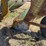 john-deere-three-point-two-bottom-plow-image-17