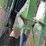 john-deere-843-image-15