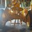 john-deere-li-image-9