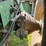 john-deere-6620-image-19