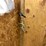 #7130-•-contents-of-shelving-and-corner-image-9