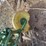 john-deere-pull-type-three-bottom-plow-image-20