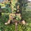john-deere-50-image-42