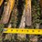 shoule-hb-7-rock-fork,-has-bolt-on-mounts,-84”-wide,-1-3/8”-round-bar-tine,-5”-spacing,-heavy-duty,-image-10
