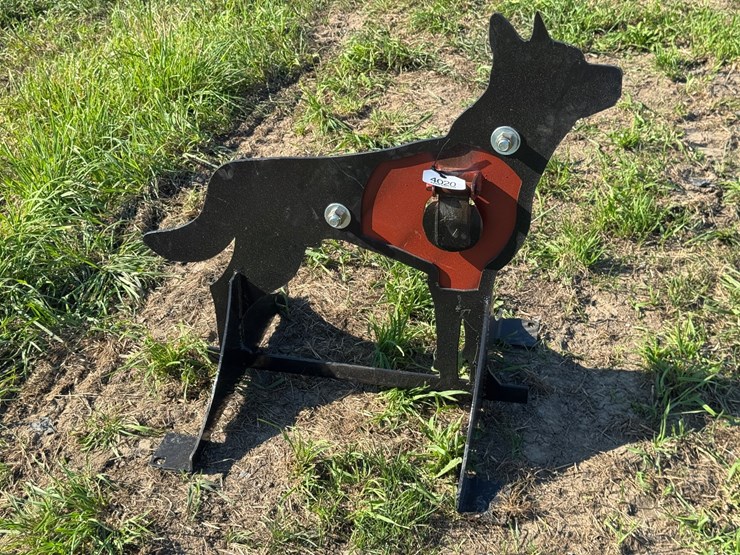 #4020-•-coyote-target-image-3