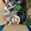 #4719-•-household-decorations-image-13