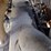 deere-650h-lgp-image-33
