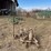 john-deere-no.5-image-8