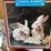 #4717-•-kitchen-items-image-4