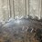 #177-•-56”-circular-saw-blade-image-3