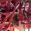 case-ih-1660-image-50