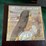 #7320-•-(12)-vinyl-records-image-15