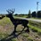 #4021-•-deer-target-image-2