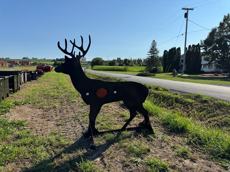 #4021-•-deer-target-image-2