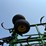 2014-john-deere-2410-image-10