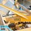 vermeer-ts44a-image-9