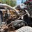 2001-freightliner-fld120-image-10