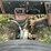 1994-mack-rd688s-image-48