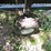 #7009-•-small-lawn-&-dump-trailer-image-7