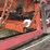 #128-•-8-head-trim-saw-image-29