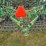 john-deere-2210-image-29