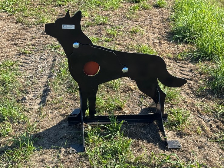 #4020-•-coyote-target-image-1