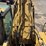 caterpillar-345c-image-59