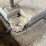 #166-•-barn-sweep-conveyor-image-23