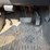 2006-chevrolet-1500-image-33