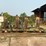 #186-•-hmc-ac50bd-carriage-image-1